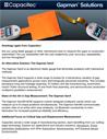 Capacitec Gapman Solutions Introduction Issue