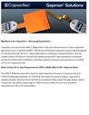 Capacitec Gapman Solutions GPD-1 .004 Wand Introduction